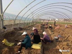 界首观芷小区吃瓜,吃瓜群众的热闹日常